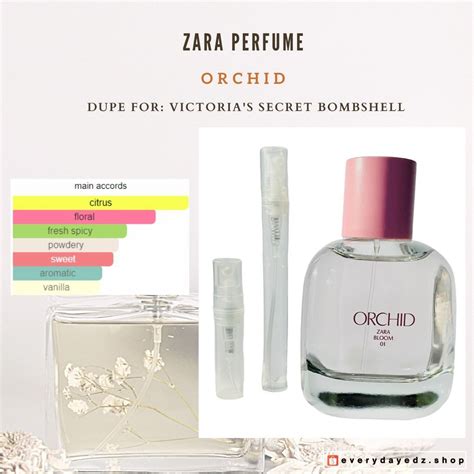 all zara perfume dupes|zara perfume orchid dupe.